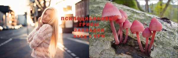 винт Армянск