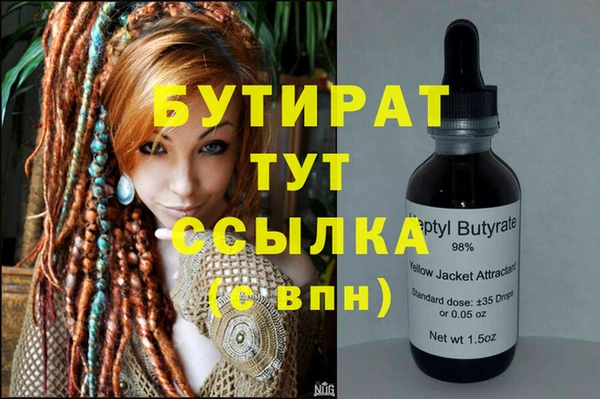 хмурый Аркадак