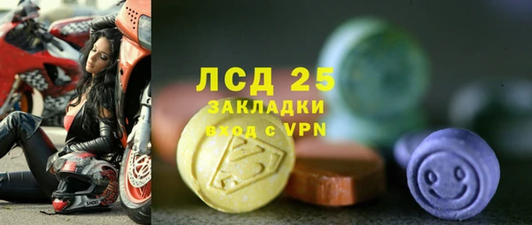 хмурый Аркадак