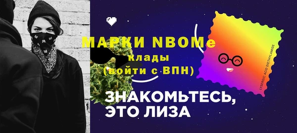 хмурый Аркадак