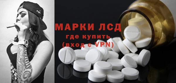 трава Арсеньев