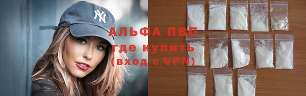 хмурый Аркадак