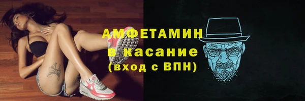 хмурый Аркадак