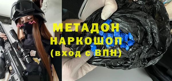 хмурый Аркадак