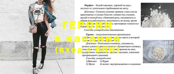 хмурый Аркадак