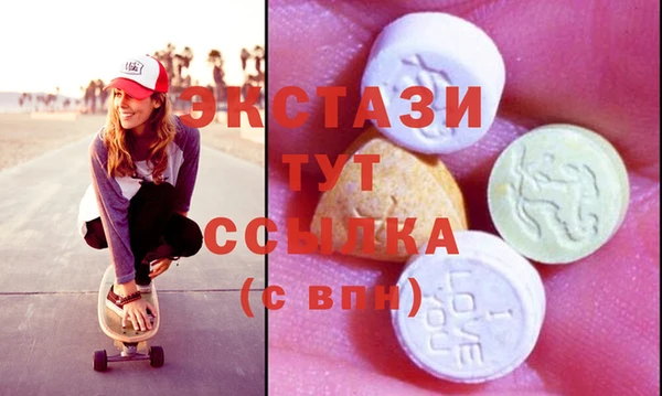 хмурый Аркадак