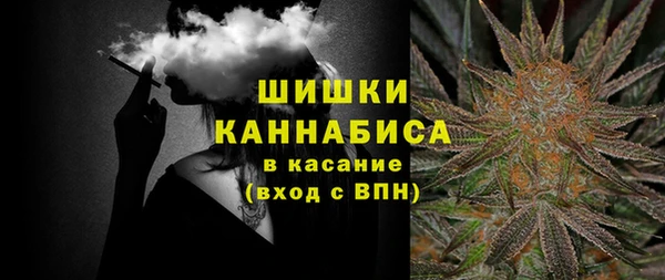 хмурый Аркадак
