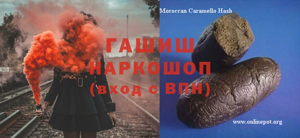 хмурый Аркадак