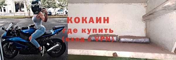 хмурый Аркадак