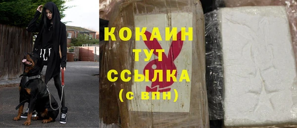 трава Арсеньев